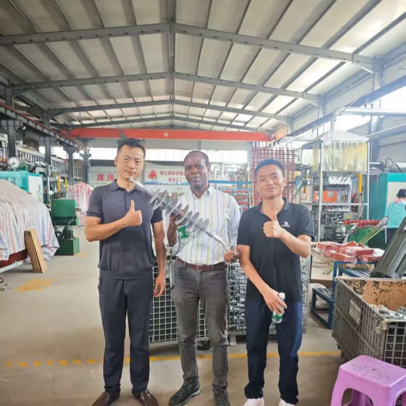 Zambian Power Delegation Selects Chinese